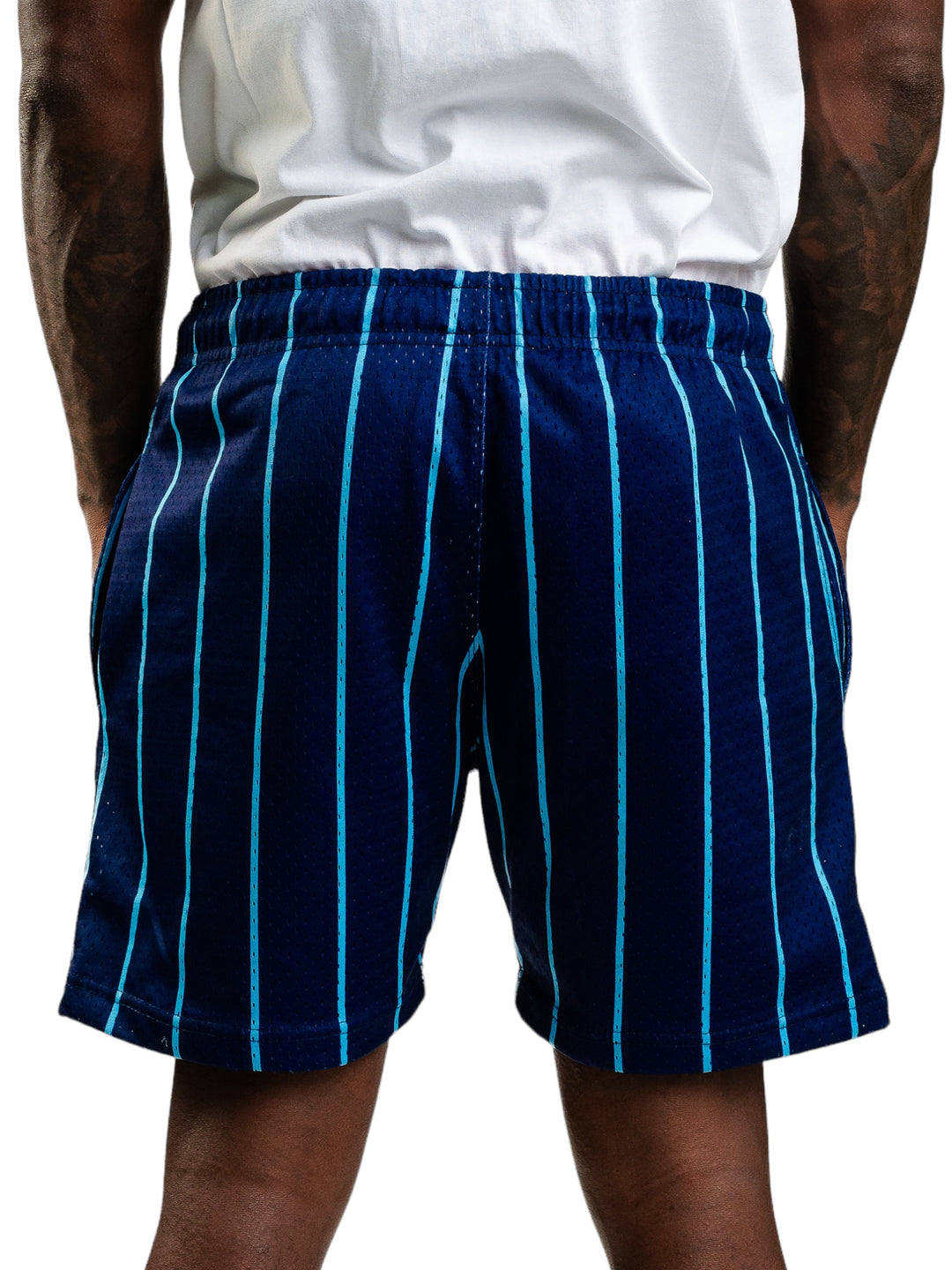 Alumni Shorts in Navy/Babyblue/White