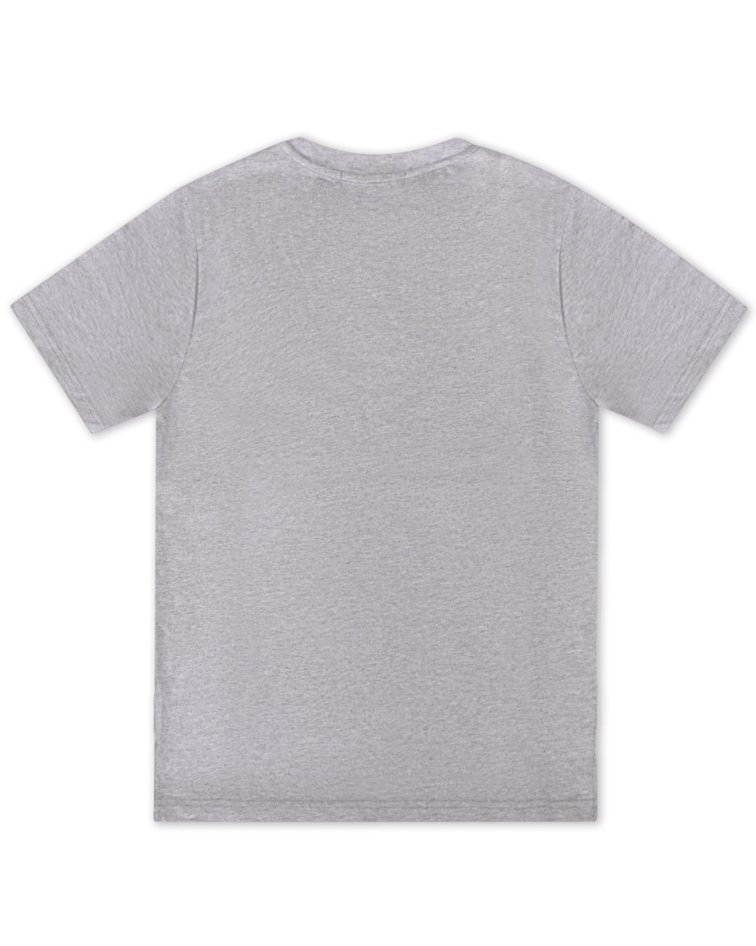 Bizz Tee in Grey/White