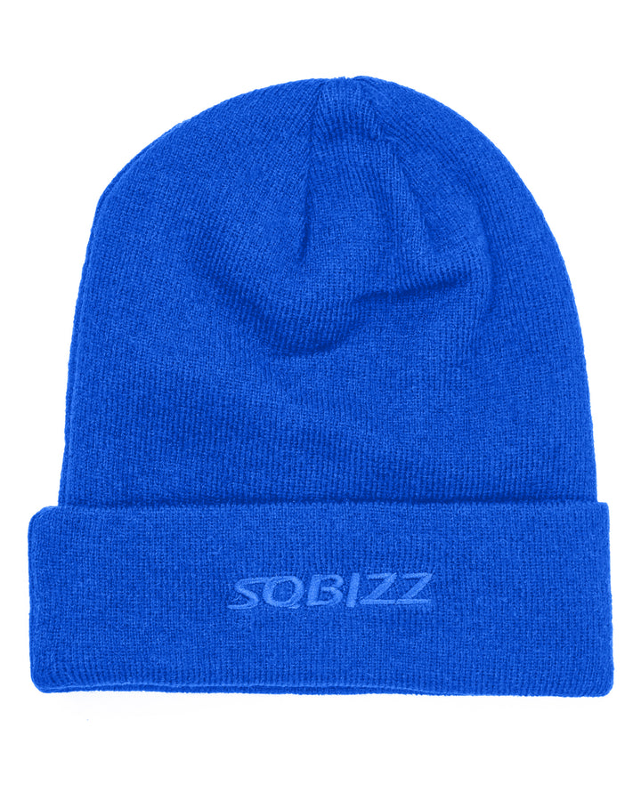 Club Beanie in Royal