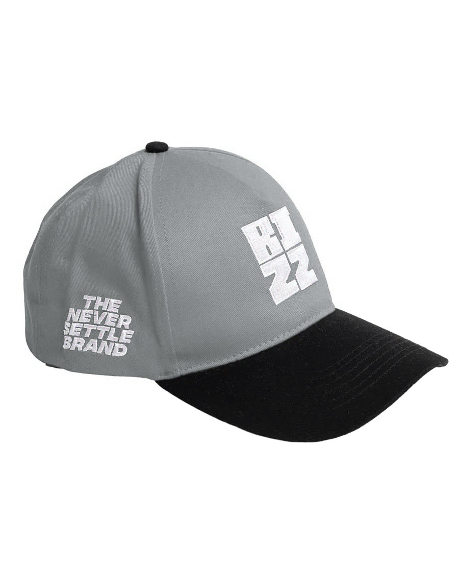 Bizz SnapBack in Grey/Black