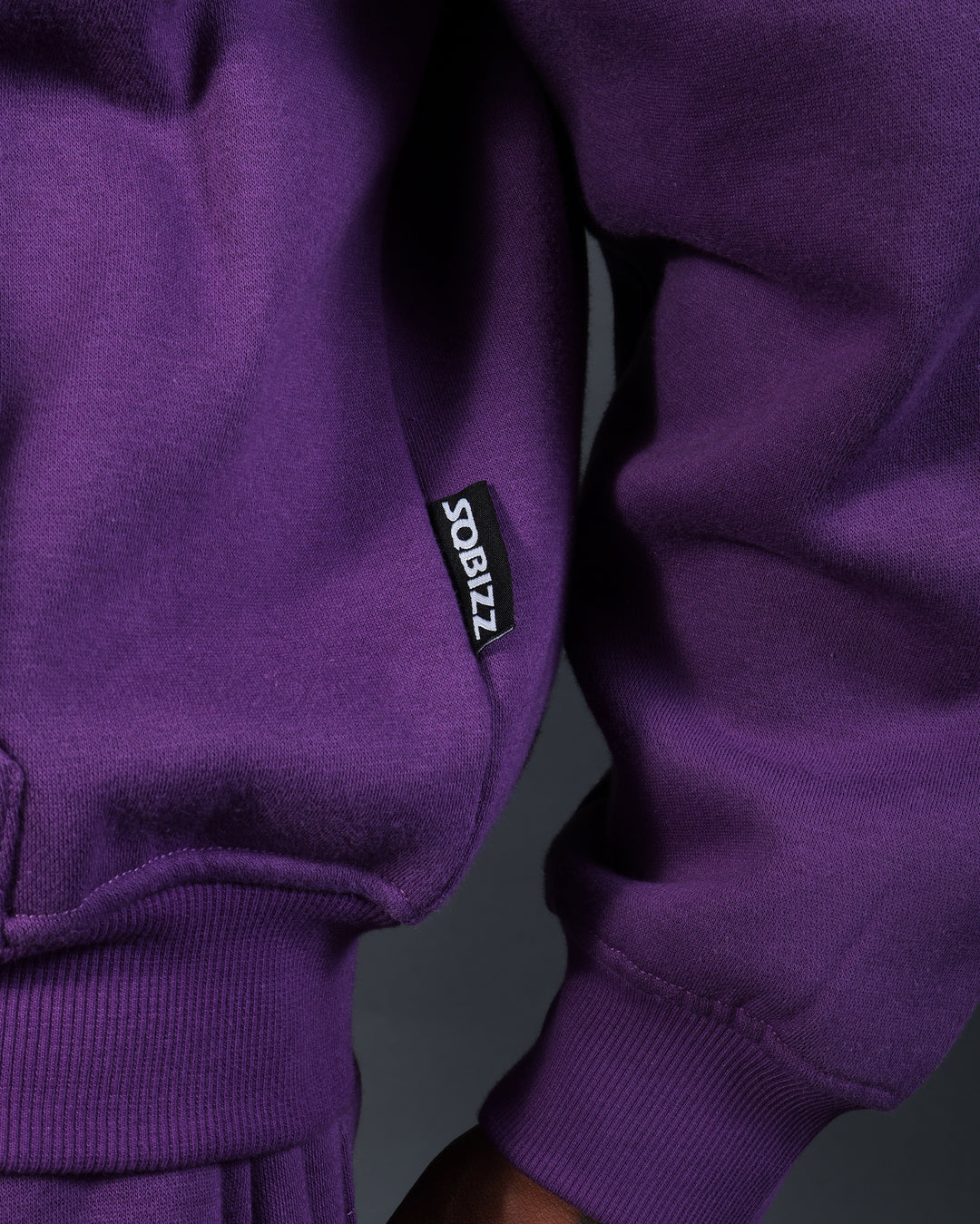 Bizz Zip Hoodie in Purple/White