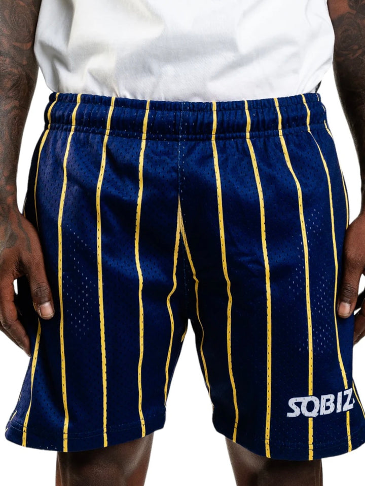 Alumni Shorts in Navy/White/Yellow